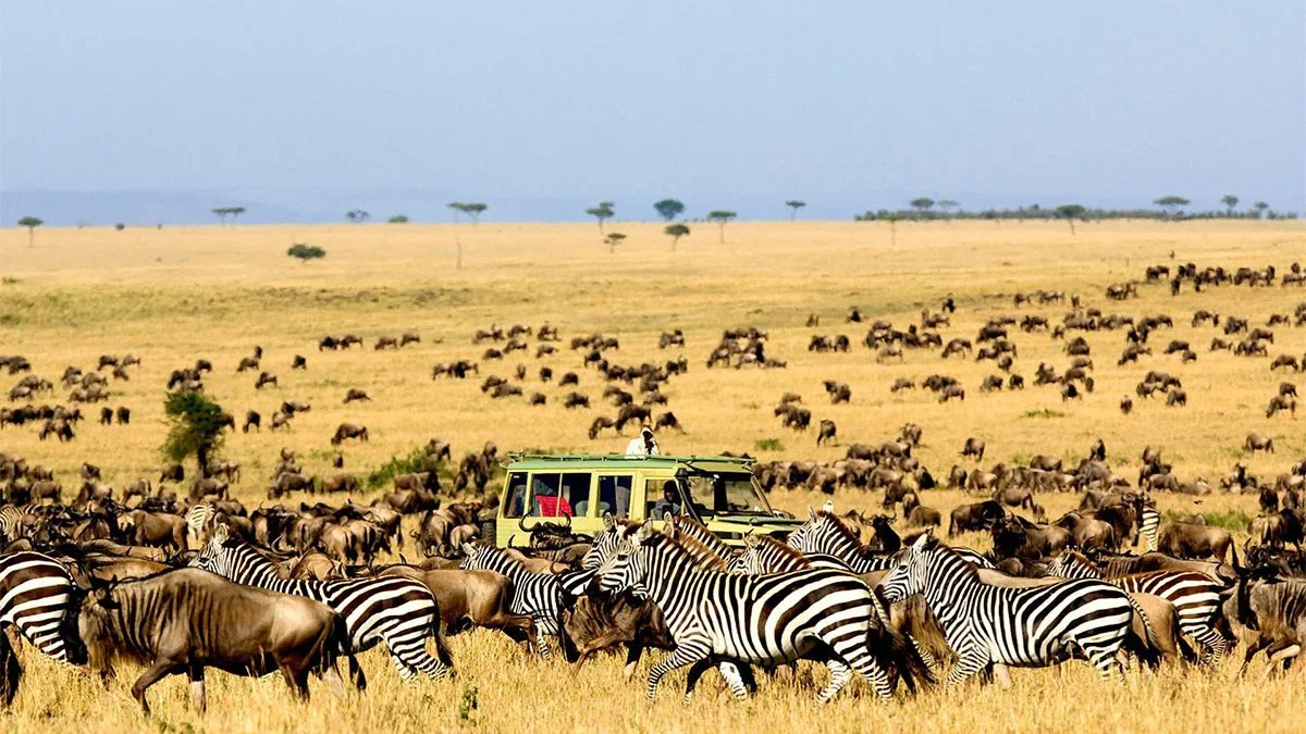Ndutu Plains safari landscape