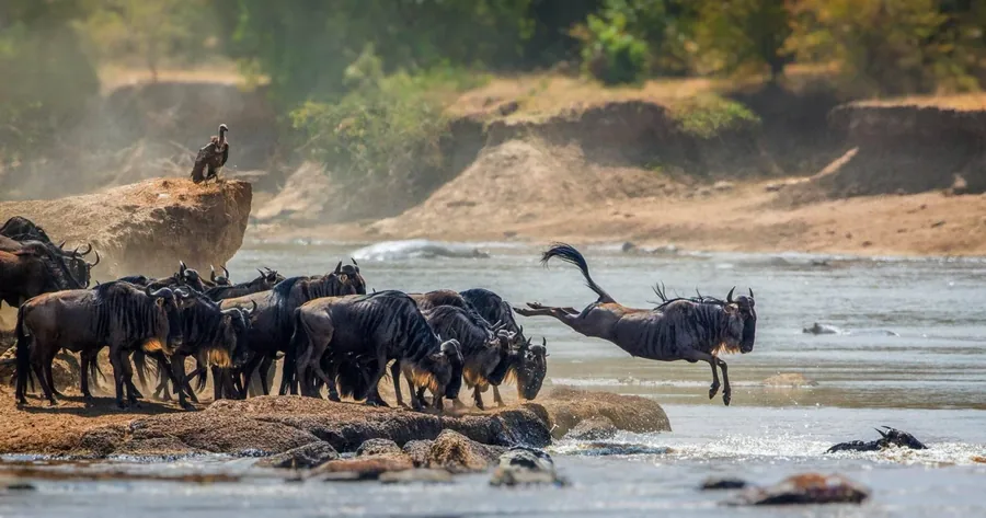 3-Day Serengeti Luxury Safari